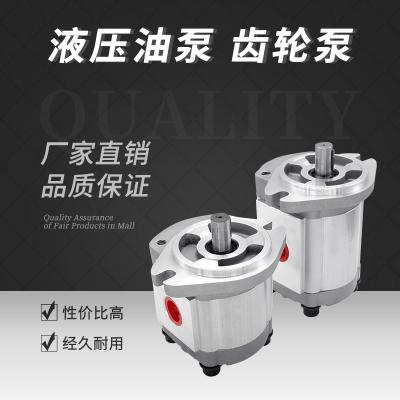 液压油泵 齿轮泵